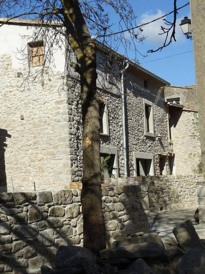Villa Misanid Ecrin De Verdure A 15Mm De La Cite De Carcassonne Mas-des-Cours 外观 照片