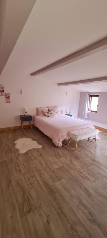 Villa Misanid Ecrin De Verdure A 15Mm De La Cite De Carcassonne Mas-des-Cours 外观 照片